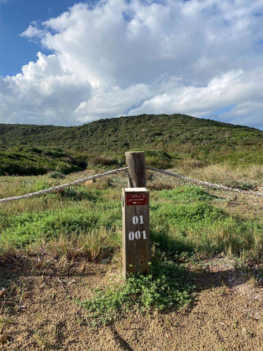 Camí de Cavalls desde el Hotel Bahía a pie, en bicicleta o a caballo